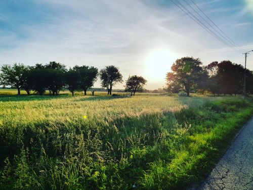 Wieś, małe miasteczko czy duże miasto?