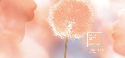Цвет Года 2024  - Peach Fuzz w в Современных Интерьерах