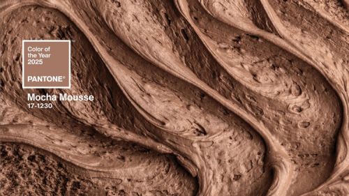 Mocha Mousse: color of the year 2025 by pantone and its use in interior design