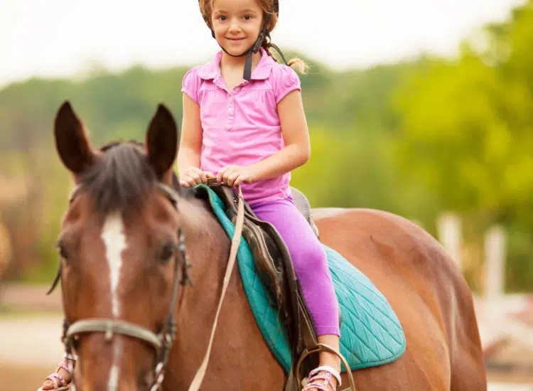 Sport i&nbsp;rekreacja – od&nbsp;roweru po&nbsp;konie