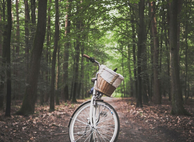 Велосипедное Эльдорадо