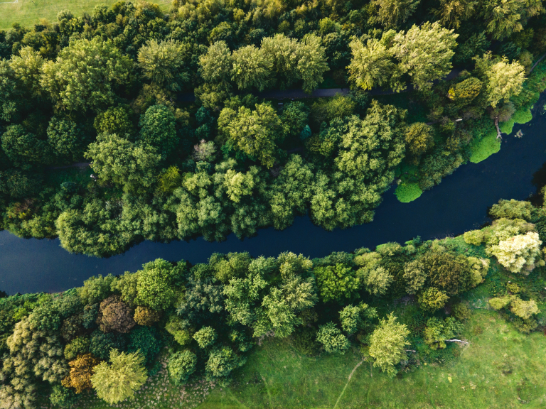 Las Sękociński i&nbsp;rzeka Utrata