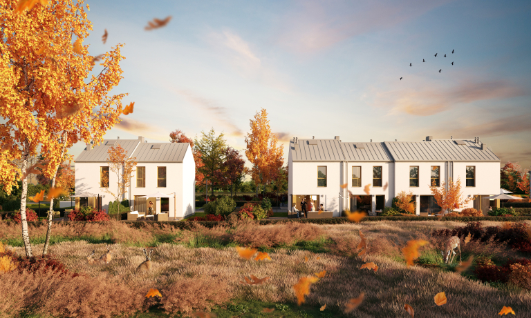 ZOGRODY_05_autumn_bez jelenia