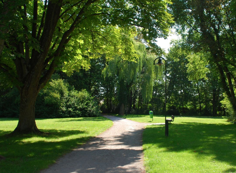 Niegdyś kopalnia gliny, dziś ponad 20 hektarowy park!