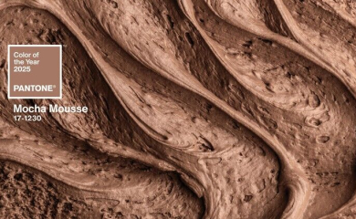 Mocha Mousse: color of the year 2025 by pantone and its use in interior design