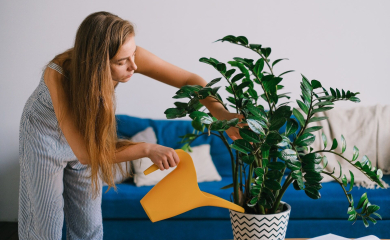 Jak rośliny w&nbsp;mieszkaniu wpływają na&nbsp;nasze samopoczucie