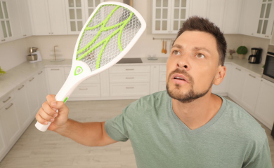 Mrówki, osy, mole – jak zabezpieczyć swój dom przed&nbsp;niechcianymi lokatorami?