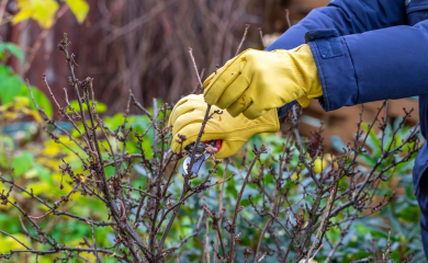 Dom z&nbsp;ogrodem – przygotuj się na&nbsp;wiosnę. Prace ogrodowe, które warto zacząć w&nbsp;marcu