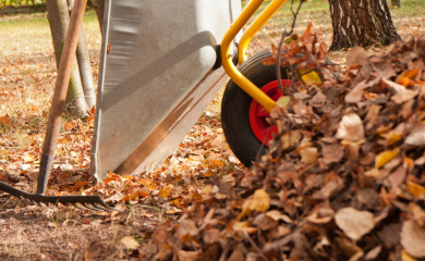 Jesienne porządki w&nbsp;ogrodzie – co&nbsp;warto zrobić teraz, by&nbsp;cieszyć się piękną wiosną?