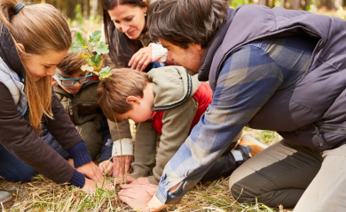 Long Weekend – what to do with kids at home