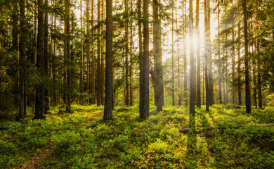 Dlaczego lepiej zamieszkać na&nbsp;obrzeżach?