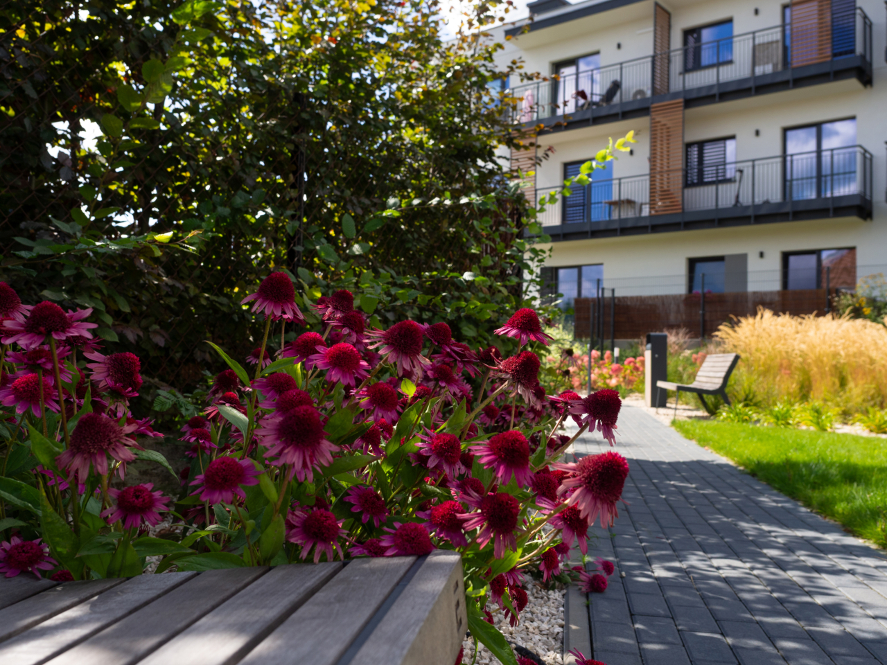 aleja spacerowa ławki i roślinność na nowym osiedlu od Novisa Development Apartamenty Przyjaciół