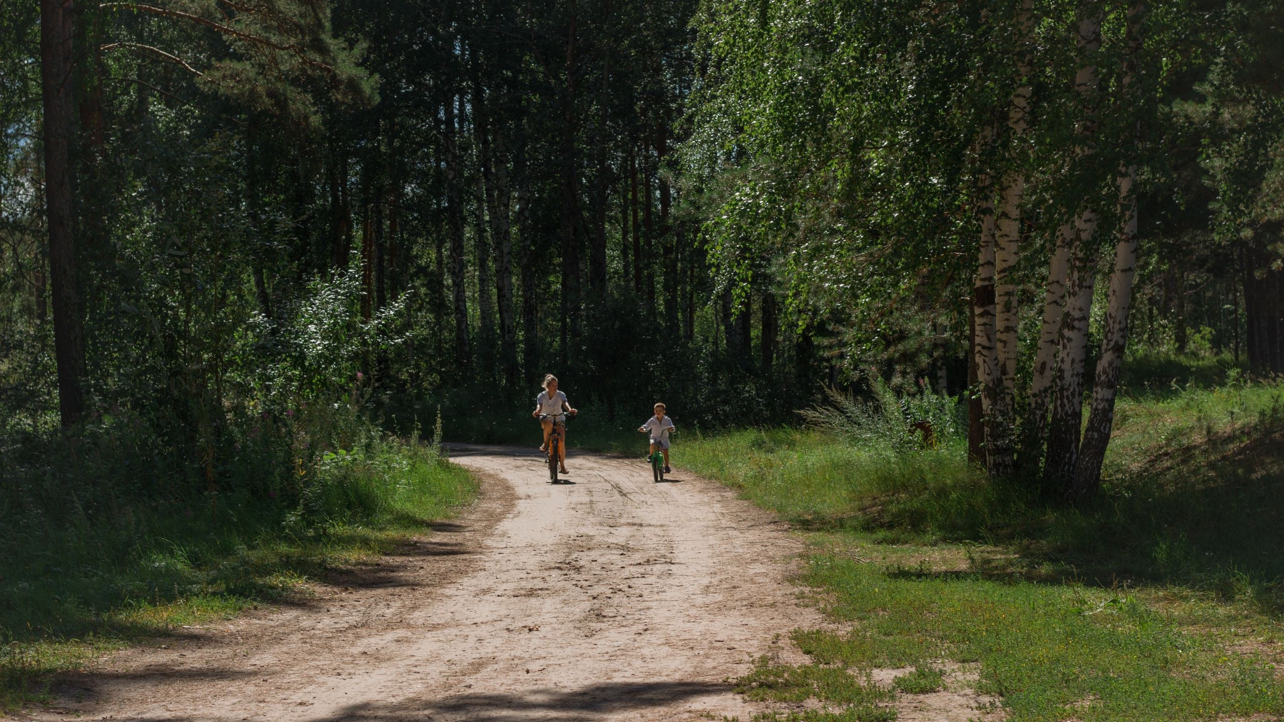 dzieci jadą na rowerach leśną drogą pod miastem